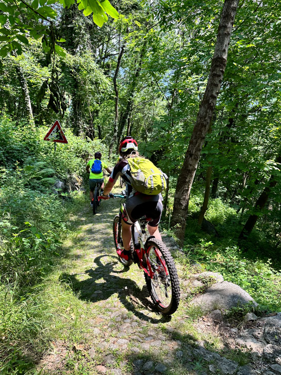 Giro della Festival Ride edizione 2023 nei boschi sul versante retico della Bassa Valtellina, Costiera dei Cech in mtb da Morbegno